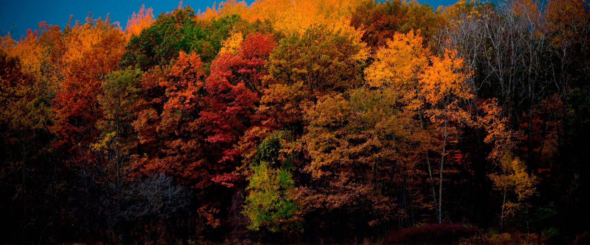 Perfect For Small Accounts.